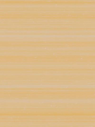 Melograno Unito - Tea | Scalamandre