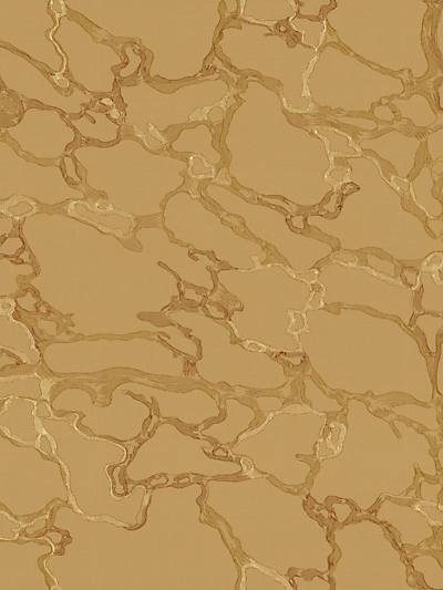 Marble - Valencia | Scalamandre