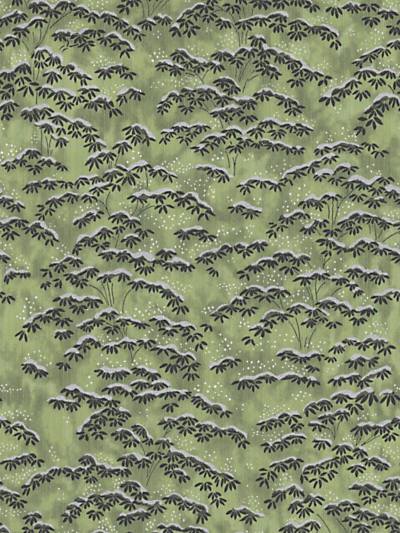 SAGANO - VERDE - SCALAMANDRE WALLPAPER - CL_0005WP36397 at Designer Wallcoverings and Fabrics, Your online resource since 2007