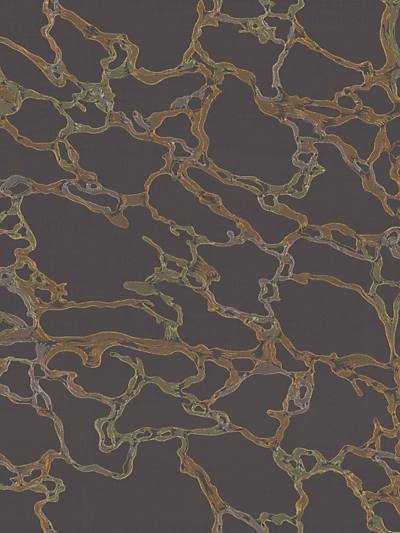 Marble - Emperador Wallpaper | Scalamandre 