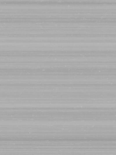 Melograno Unito - Grigio Wallpaper | Scalamandre 