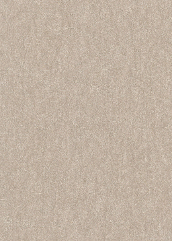 Scribble Durable Vinyl | Phillipe Romano