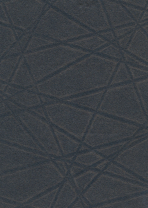 Star Gazer Geometric Durable Vinyl | Phillipe Romano