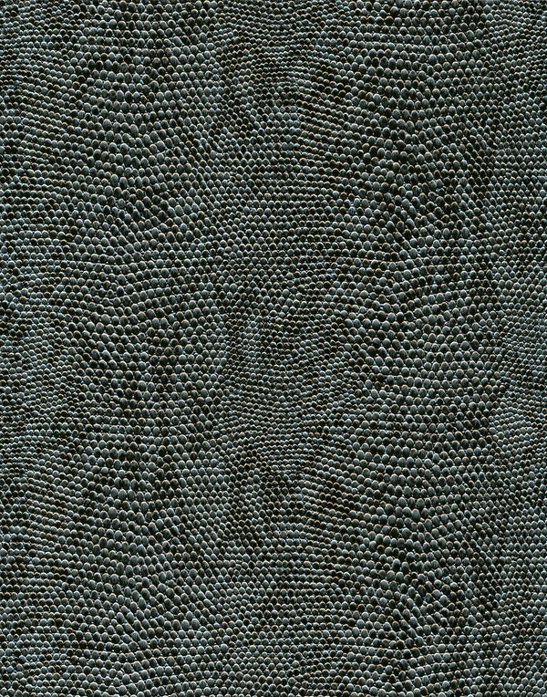 Le Embossed Python Durable Vinyl | Phillipe Romano