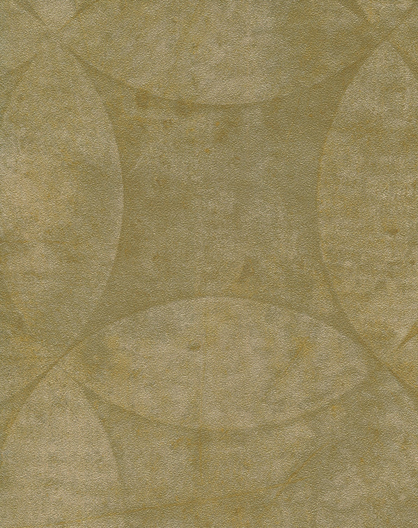Sensational Circles Durable Vinyl | Phillipe Romano