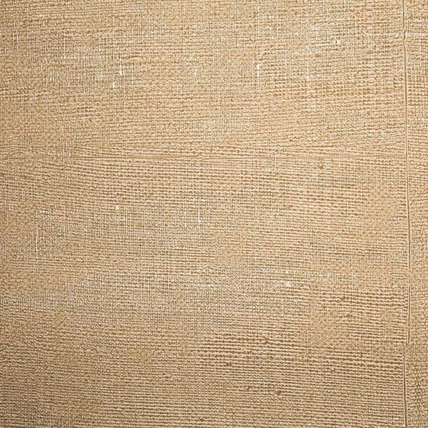 Daintree Wallpaper | Innovations USA