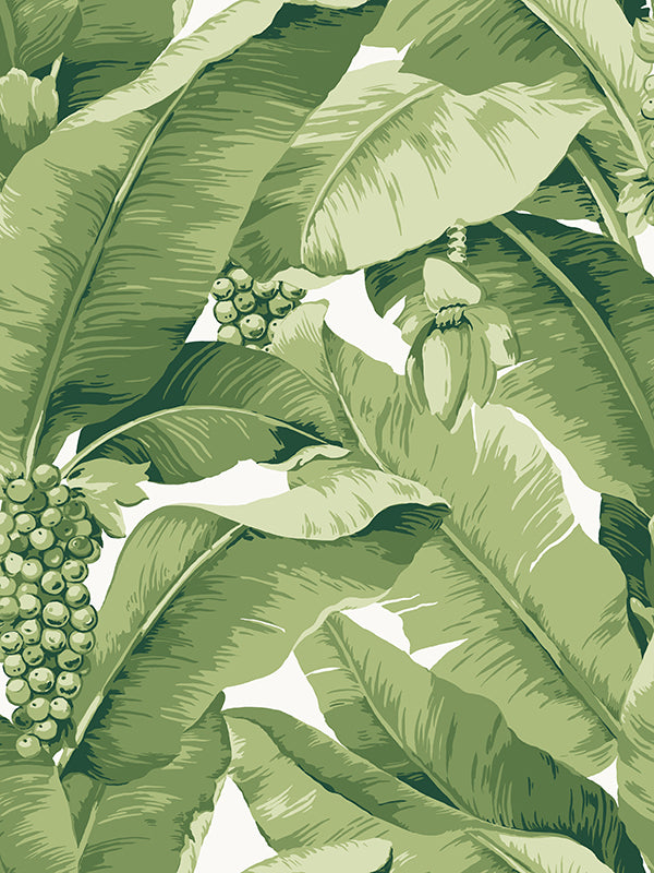 The Original Paradisio Palm  Wallpaper - White Green - Designer Wallcoverings and Fabrics