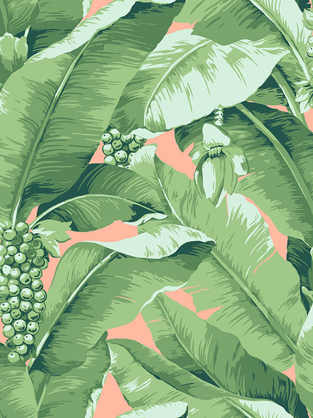 The Original Paradisio Palm  Wallpaper - Coral Pink Green - Designer Wallcoverings and Fabrics