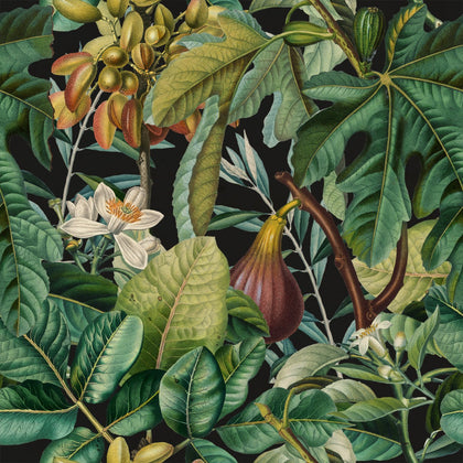 Figs and Dates - Black, Green, Brown Wallcovering | Mind the Gap