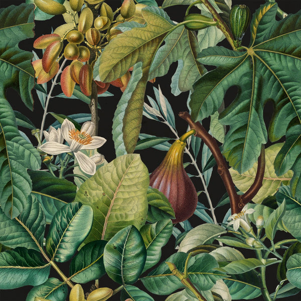 Figs and Dates - Black, Green, Brown Wallcovering | Mind the Gap