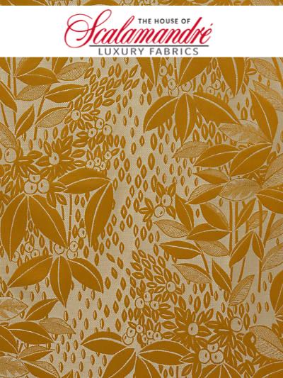 VETIVER M1 - BERGAMOTE - FABRIC - H04241-003 at Designer Wallcoverings and Fabrics, Your online resource since 2007