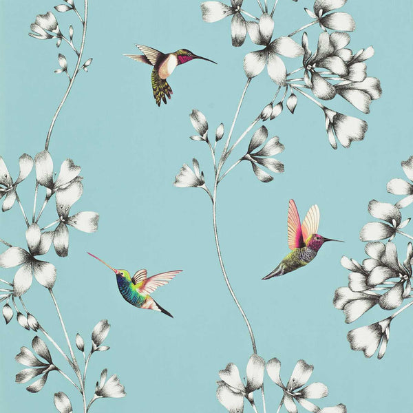 Amazilia - Sky Wallcovering | Harlequin