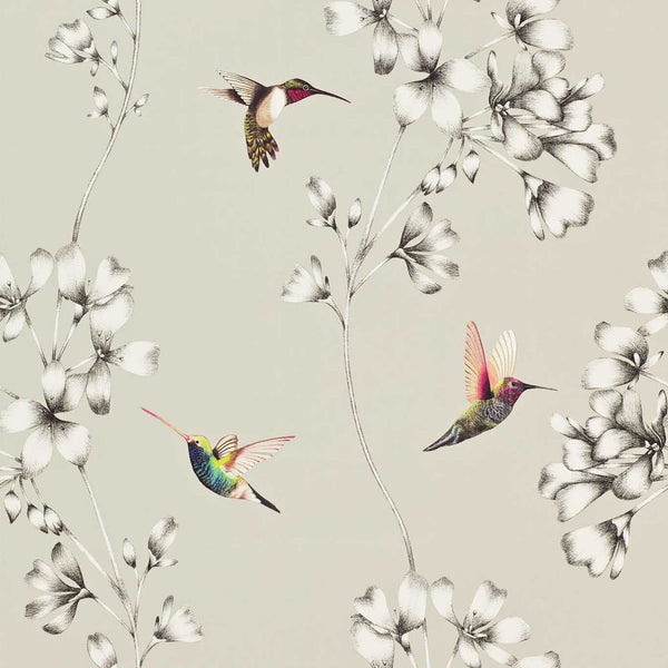 Amazilia - Silver Wallcovering | Harlequin