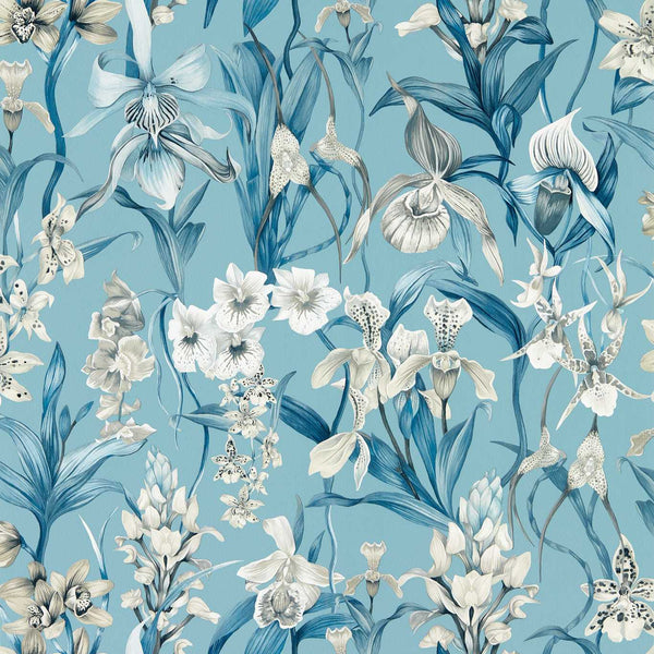 Kalina - Celestial/Murmuration/Awakening Wallcovering | Harlequin