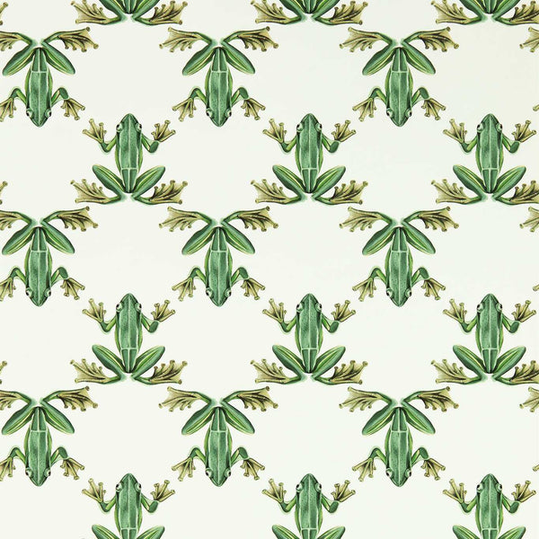 Wood Frog - Forest/Chalk Wallcovering | Harlequin
