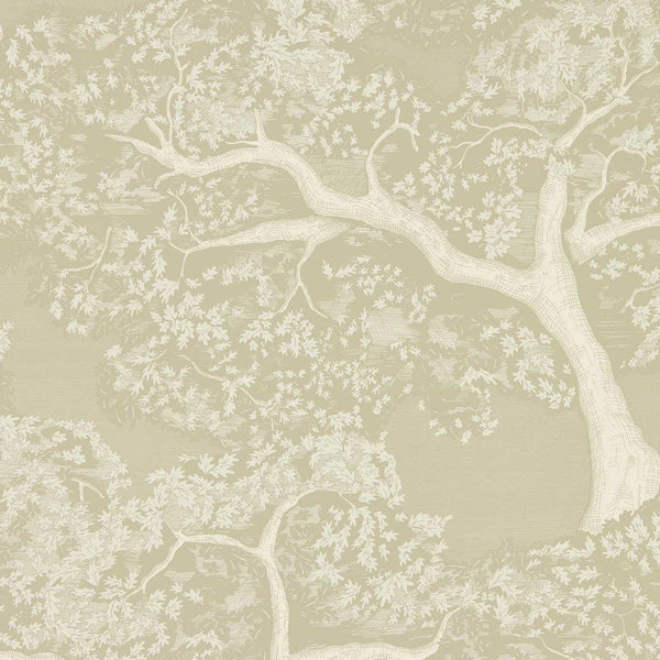 Eternal Oak - Incense/Pearl Wallcovering | Harlequin