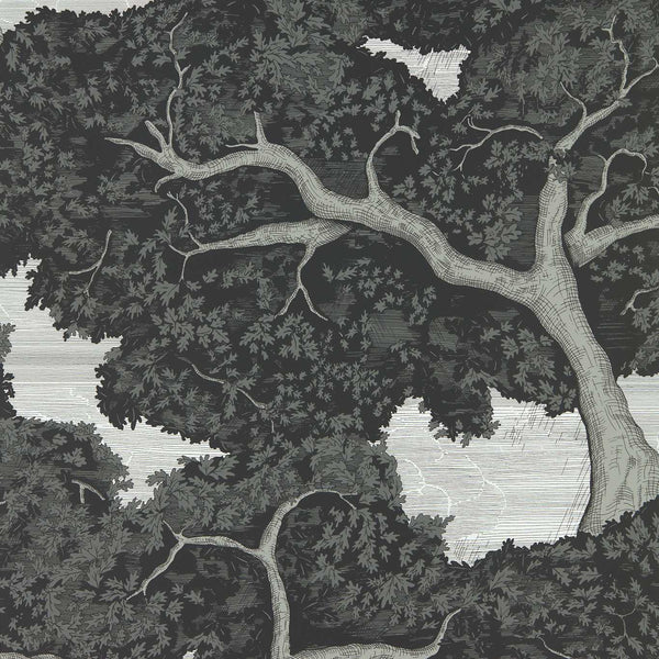 Eternal Oak - Ebony/First Light Wallcovering | Harlequin