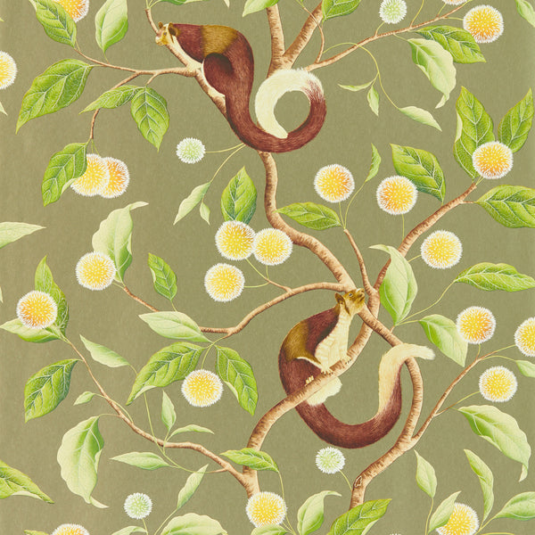 Nellie - Gilver/Meadow Wallcovering | Harlequin