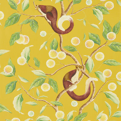 Nellie - Honey/Meadow Wallcovering | Harlequin