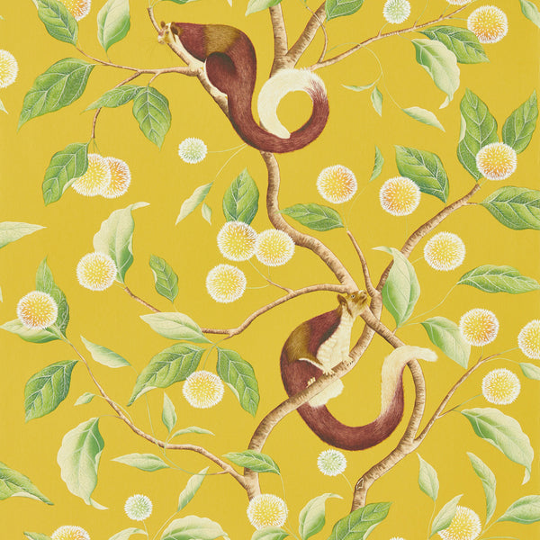 Nellie - Honey/Meadow Wallcovering | Harlequin