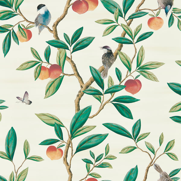 Ella - Fig Blossom/Fig Leaf/ Nectarine Wallcovering | Harlequin