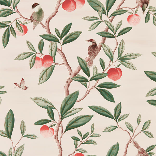 Ella - Powder/ Sage / Peach Wallcovering | Harlequin