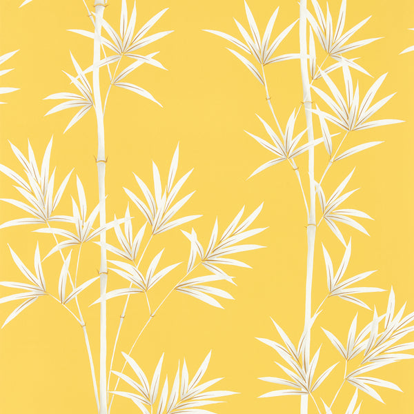 Isabella - Honey/Porcelain Wallcovering | Harlequin