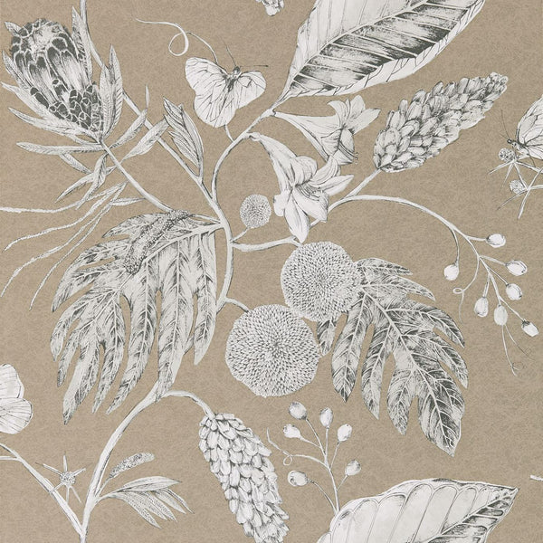Amborella - Pebble Wallcovering | Harlequin