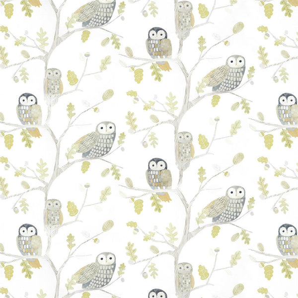 Little Owls - Kiwi Wallcovering | Harlequin