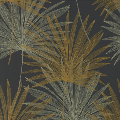 Mitende - Jet/Gold Wallcovering | Harlequin
