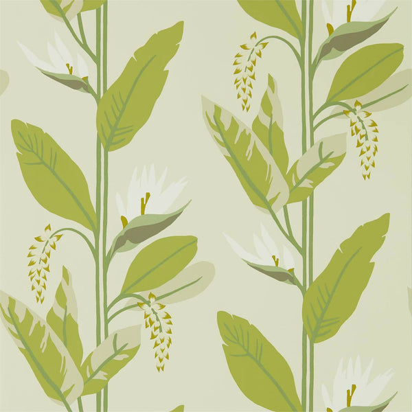 Llenya - Lime/Jade/Pebble Wallcovering | Harlequin