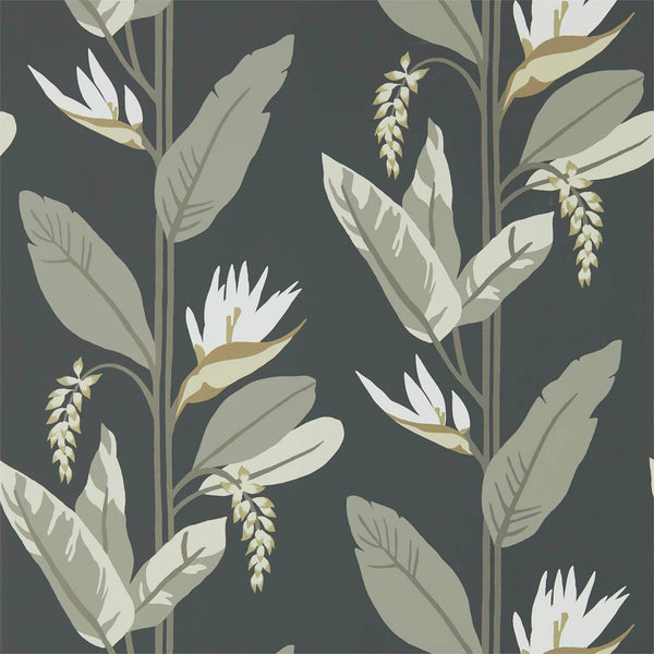 Llenya - Jet/Stone/Gold Wallcovering | Harlequin