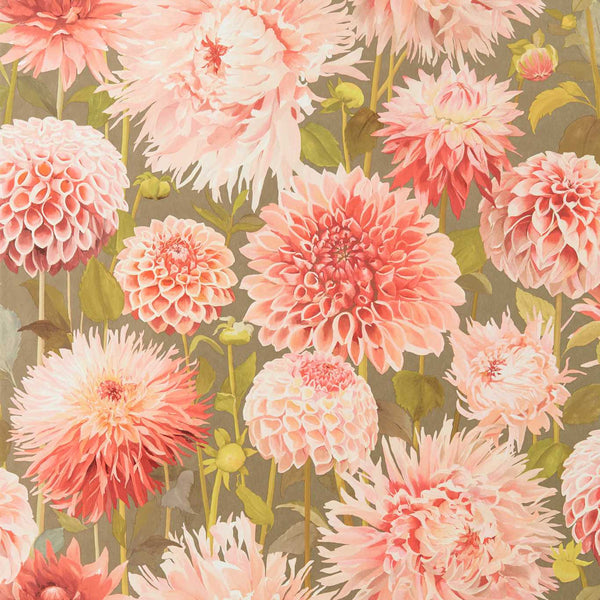 Dahlia - Coral/Fig Leaf/Gilver Wallcovering | Harlequin