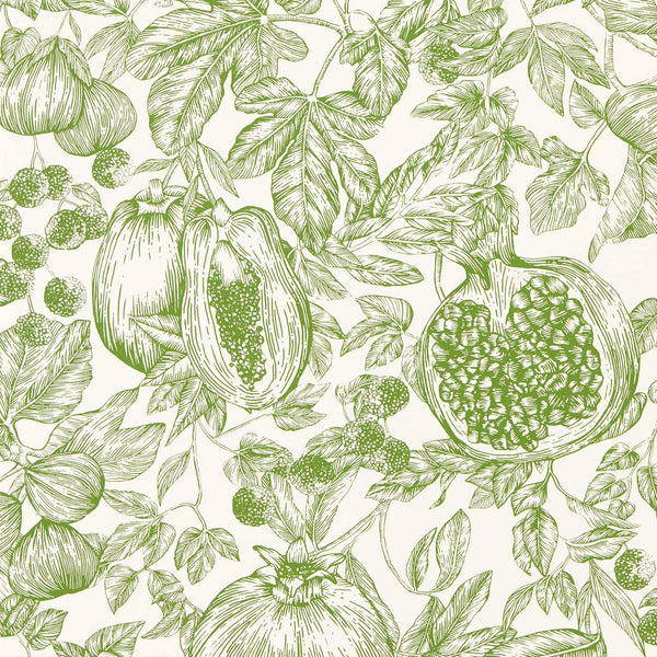 Melograno - Forest/First Light Wallcovering | Harlequin