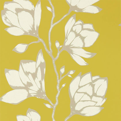 Lustica - Saffron Wallcovering | Harlequin