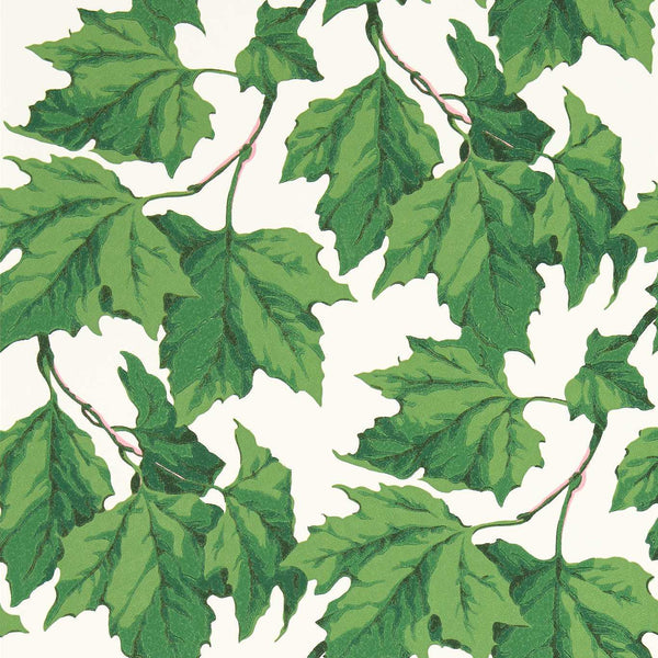 Dappled Leaf - Emerald Wallcovering | Harlequin