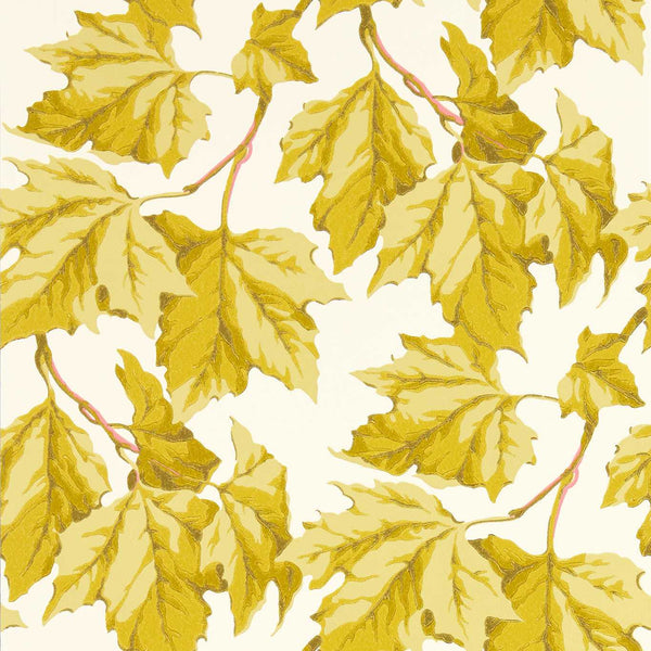 Dappled Leaf - Citrine Wallcovering | Harlequin