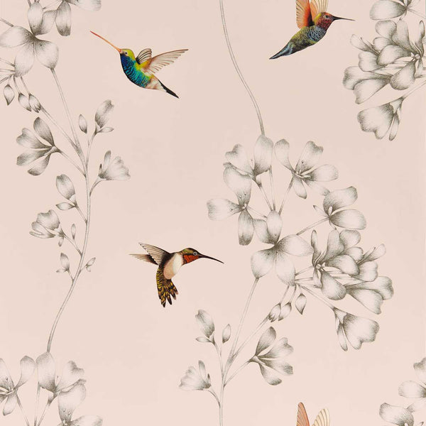 Amazilia - Powder/Pearl Wallcovering | Harlequin