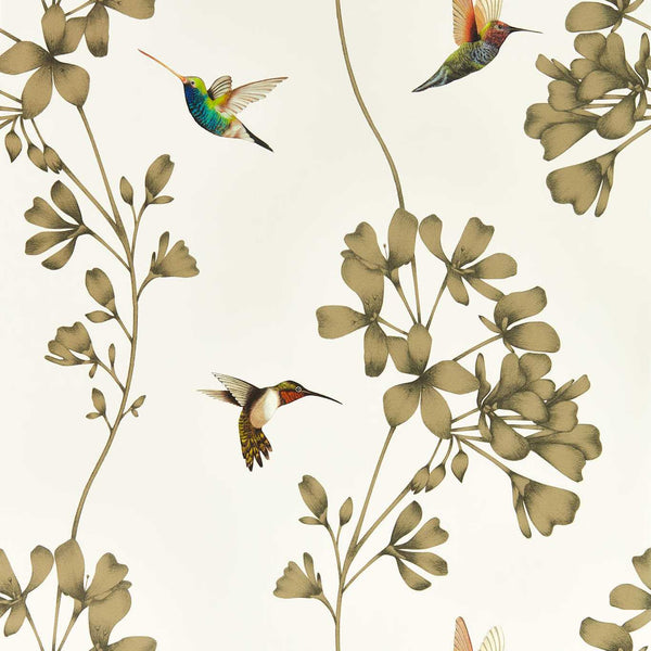 Amazilia - Stone/Gold Wallcovering | Harlequin