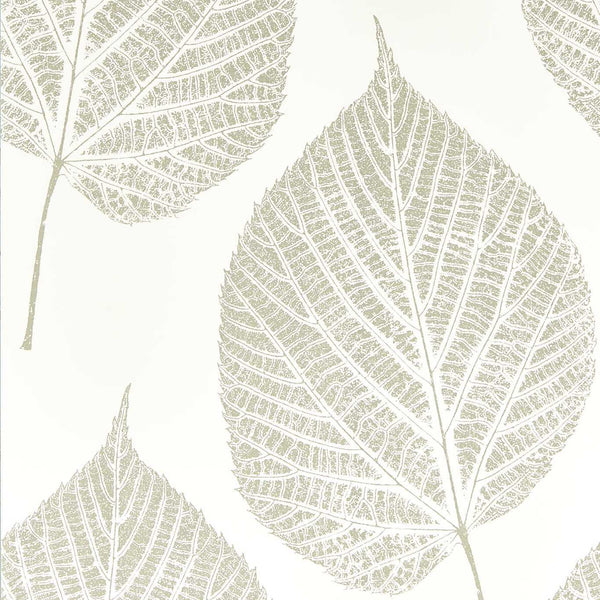 Leaf - Chalk/Silver Wallcovering | Harlequin