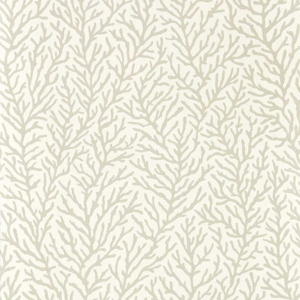 Atoll - Awakening/Diffused Light Wallcovering | Harlequin