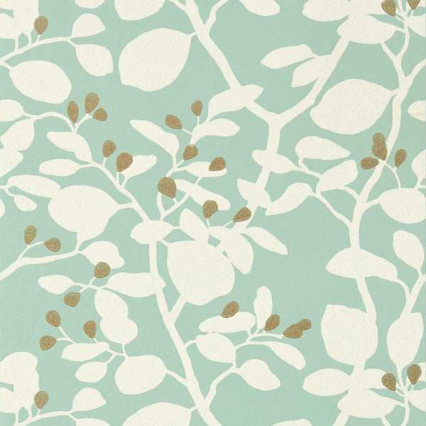 Ardisia - Succulent/Soft Focus/ Gold Wallcovering | Harlequin