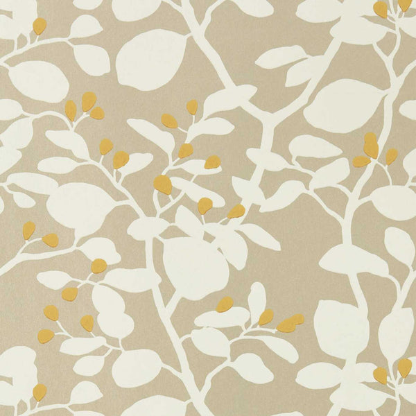 Ardisia - Soft Focus/Oyster/Gold Wallcovering | Harlequin