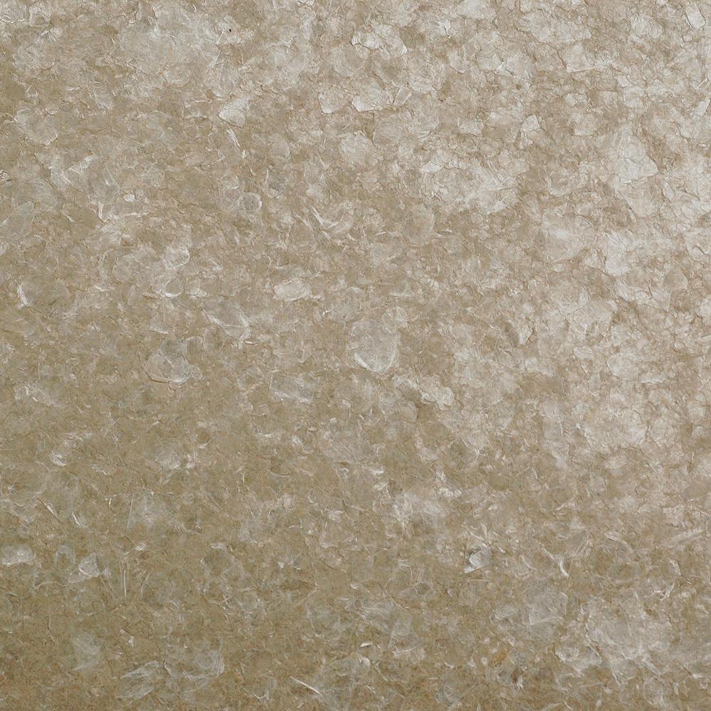 Nautilus Wallpaper | Innovations USA