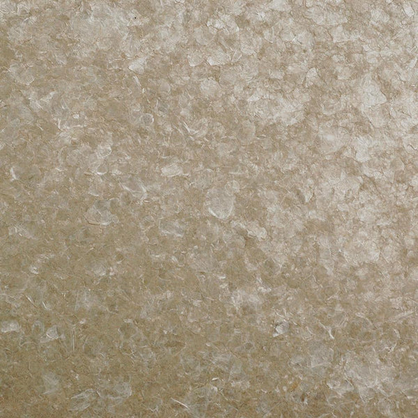 Nautilus Wallpaper | Innovations USA