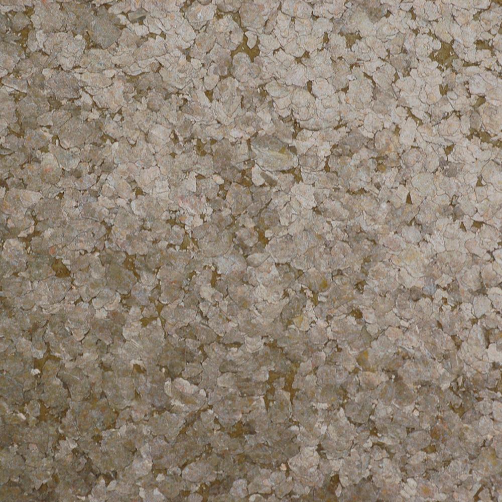 Nautilus Wallpaper | Innovations USA