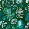 ALGAE Moss - Designer Wallcoverings and Fabrics