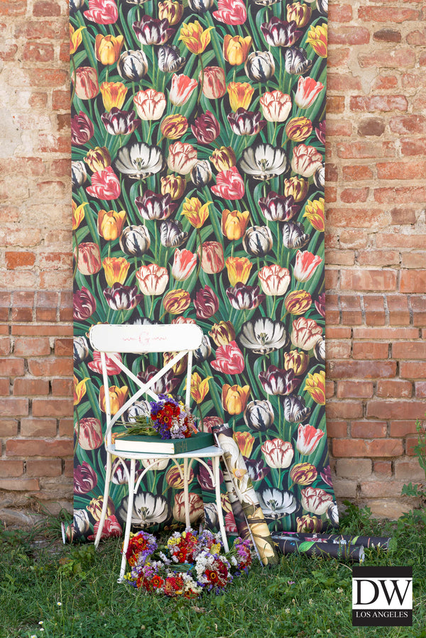 Tulipa in the garden