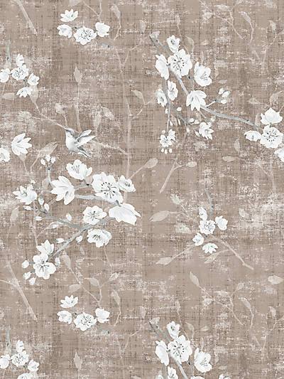 BLOSSOM FANTASIA-SHEER - MOCHA - Nicolette Mayer Fabrics - N4BL10-040 at Designer Wallcoverings and Fabrics, Your online resource since 2007