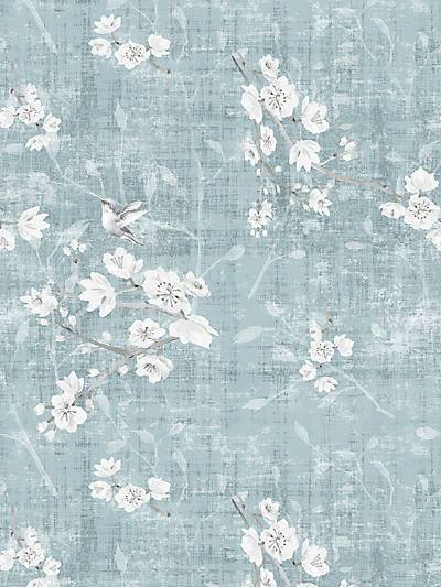 BLOSSOM FANTASIA-SHEER - SLATE - Nicolette Mayer Fabrics - N4BL10-041 at Designer Wallcoverings and Fabrics, Your online resource since 2007